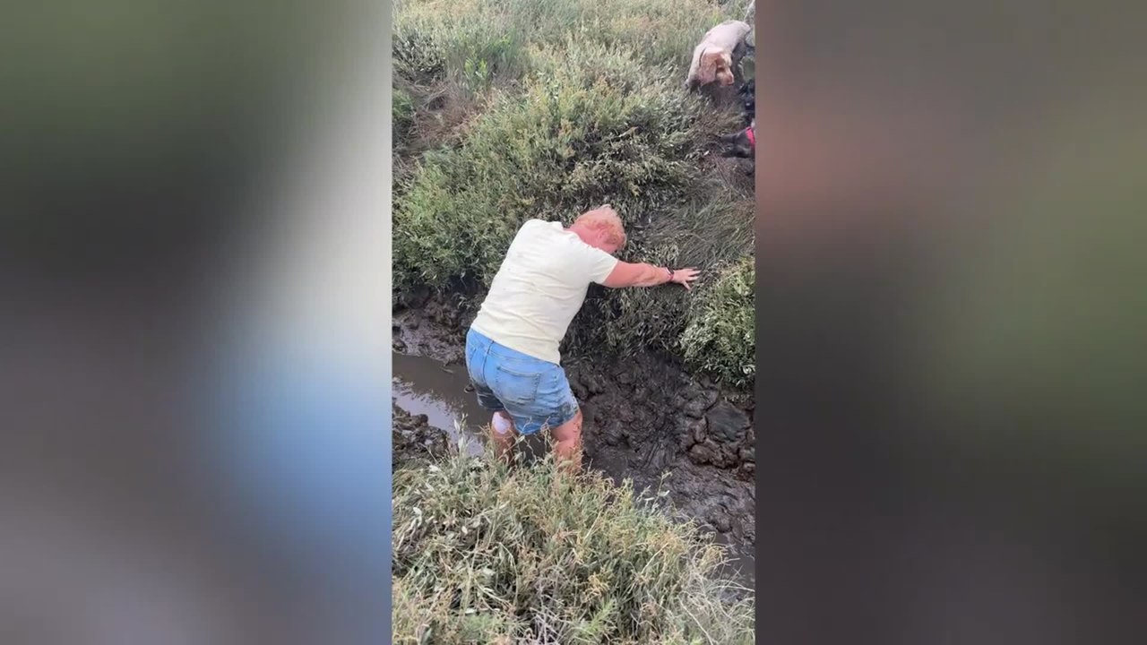 Dog Walk Turns Into Muddy Disaster