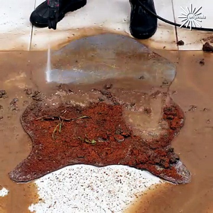 Really dirty rug satisfying cleaning! 💧