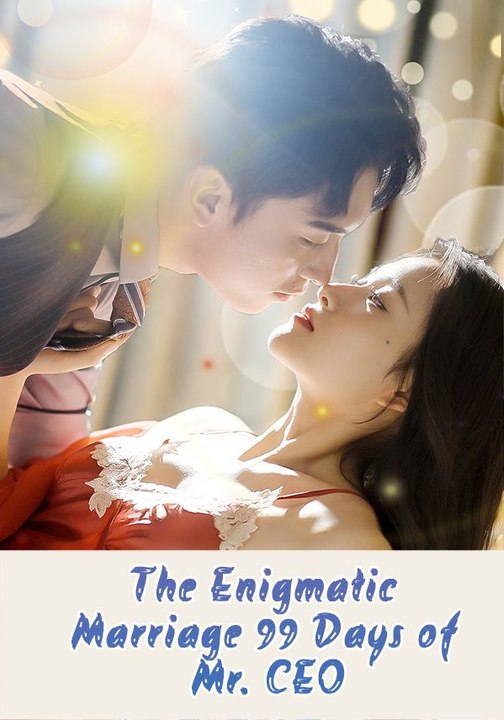 The Enigmatic Marriage: 99 Days of Mr. CEO