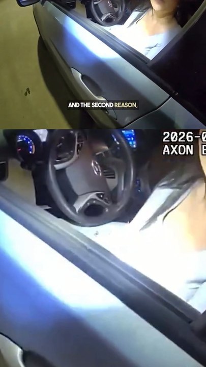 Moment Florida Cop Catches Driver With 12 Fake Licenses