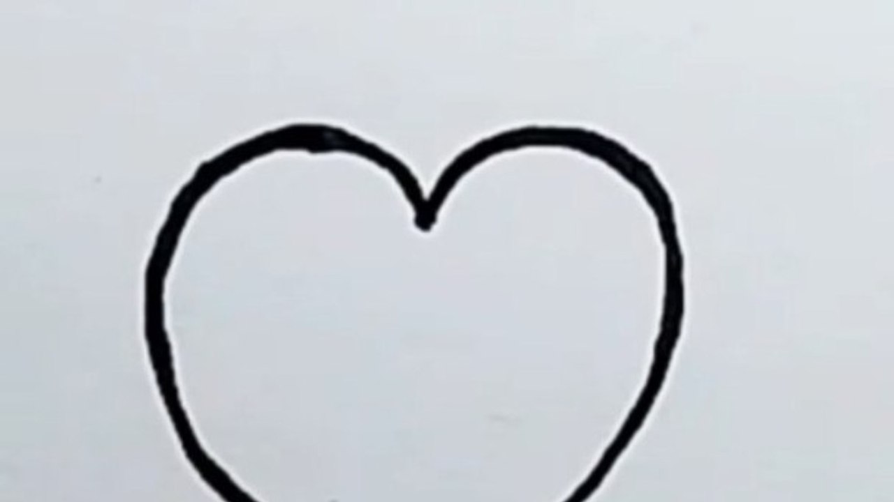 Pumpkin drawing