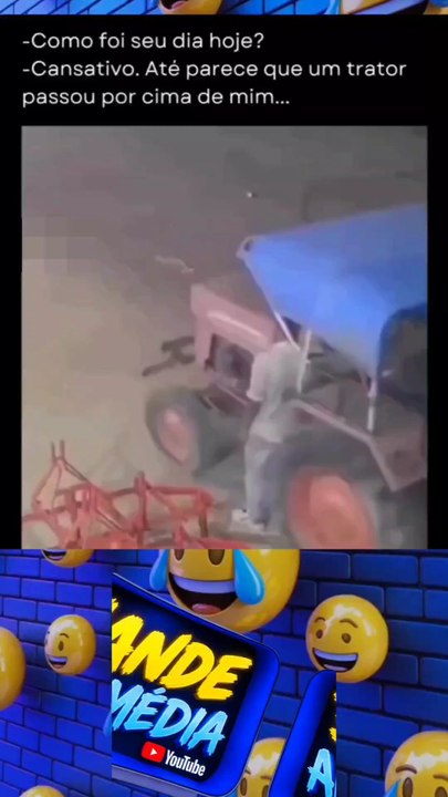 Vídeos engraçados 🤣