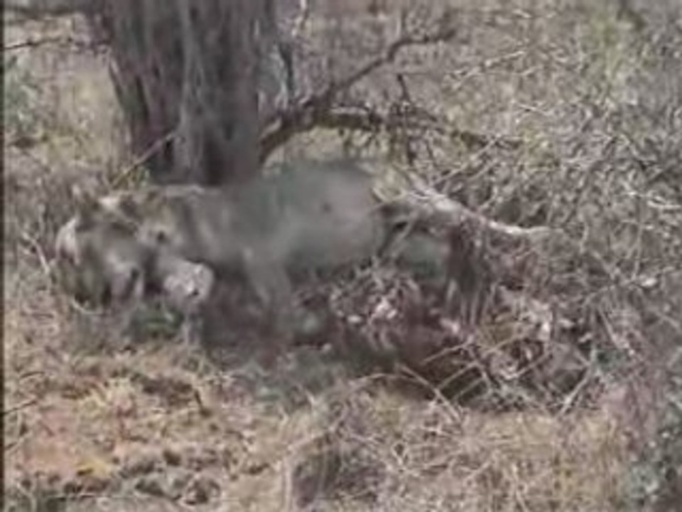 Kad Et Olivier - La Grosse Emission - Dieudonné