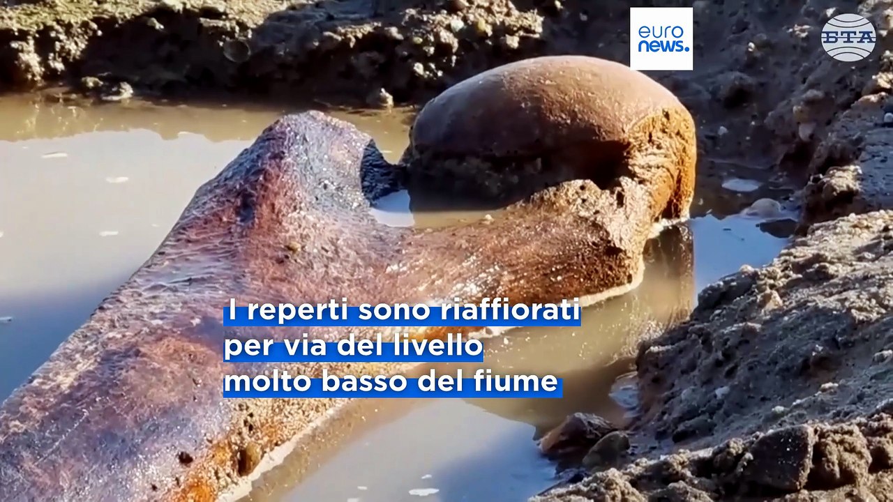 Il Danubio si prosciuga per il caldo: emerso scheletro di un enorme mammut in Bulgaria