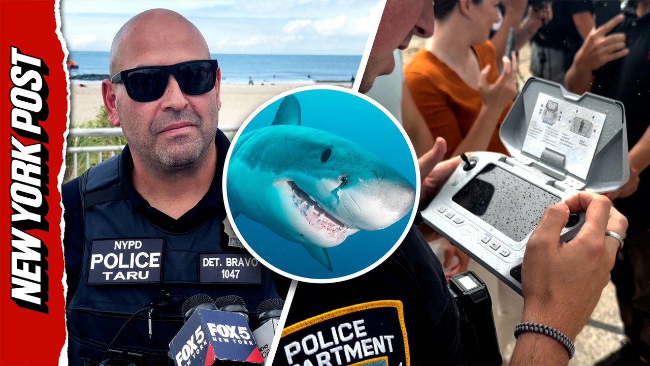 They can swim, but they can't hide — NYPD deploys drones to track sharks after rise in sightings