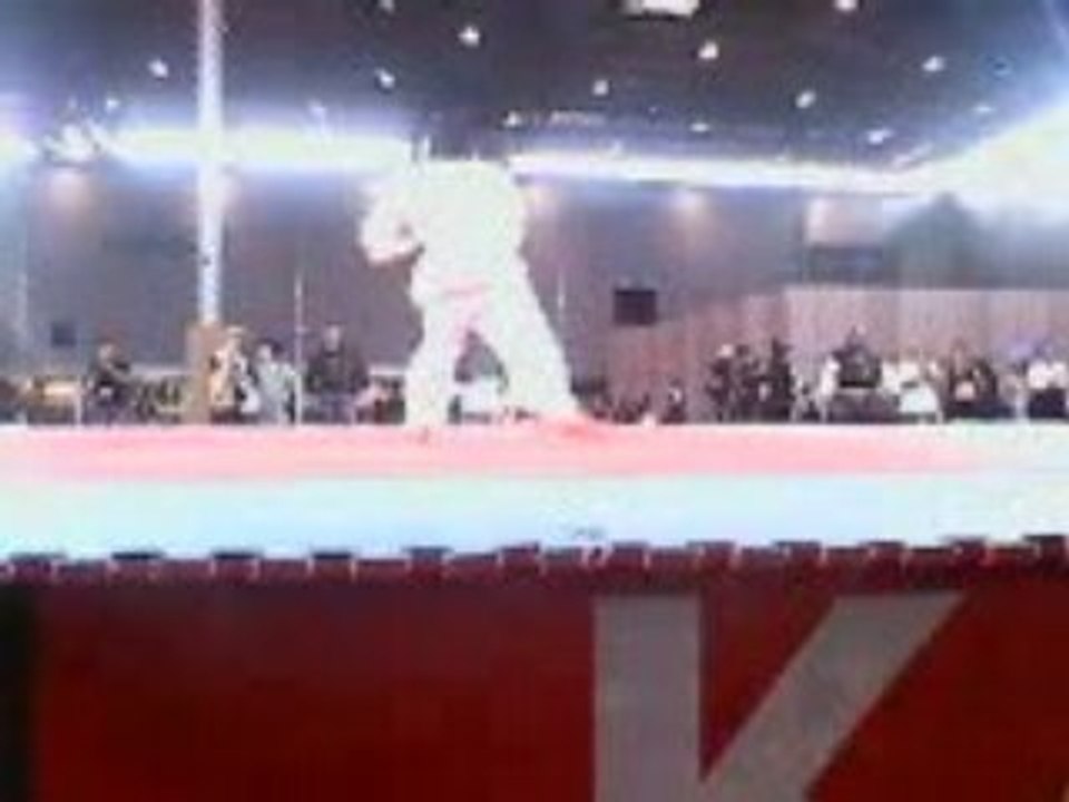 Démonstration art martiaux Japan expo 2008 (1)