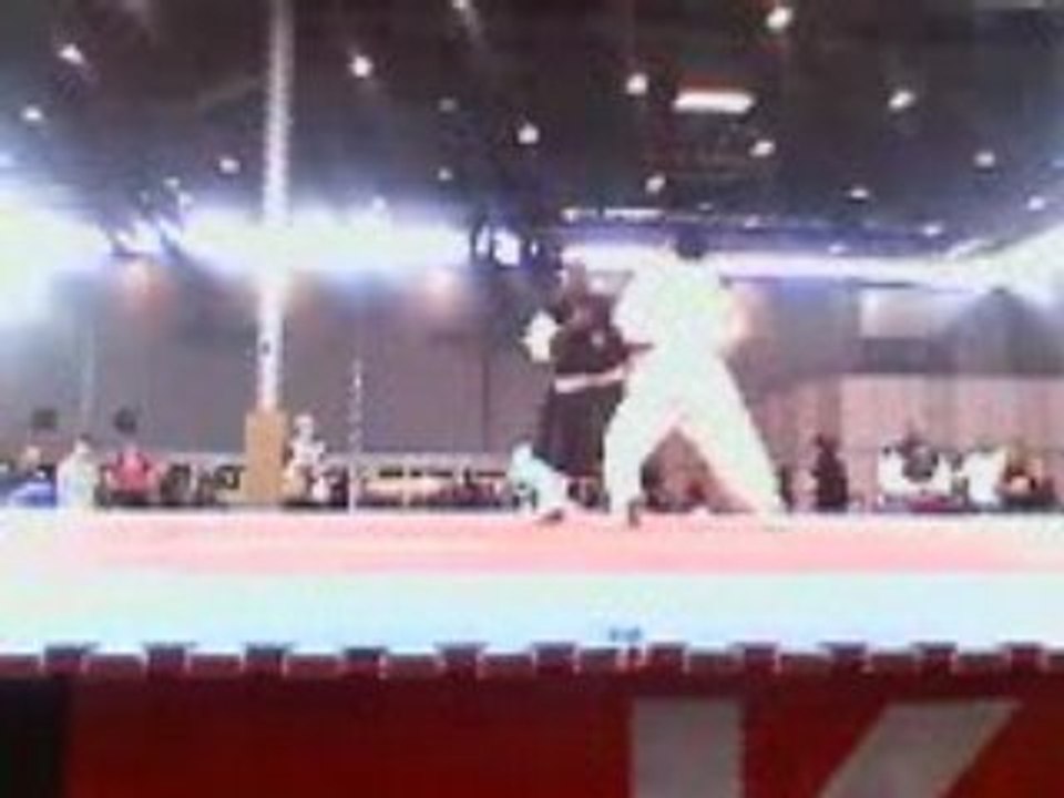 Démonstration art martiaux Japan expo 2008 (4)