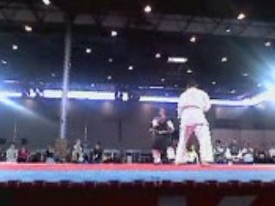 Démonstration art martiaux Japan expo 2008 (6)