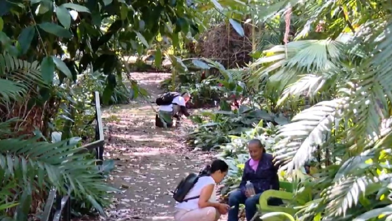 tn7-parque-natural-urbano-simon-bolivar-vuelve-a-recibir-visitantes-310726