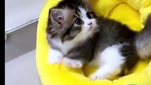 So cuteee😍😍😍