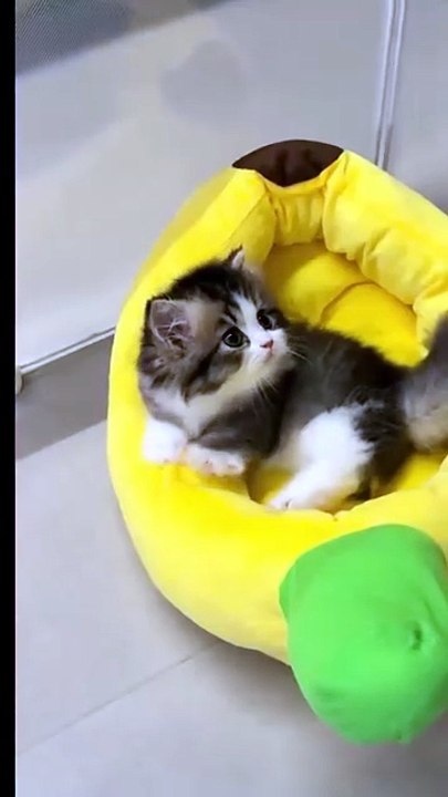 So cuteee😍😍😍