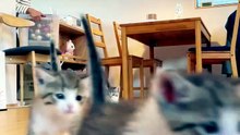 Ruuuunnnnnn. . . 😸😸😸