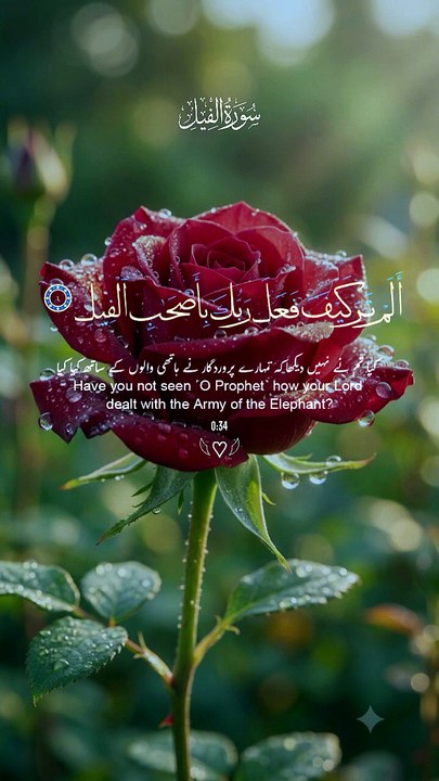 Islam s power