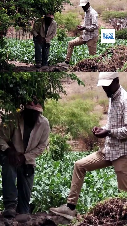 Capo Verde: la lotta per sopravvivere spinge le donne all'estrazione illegale di sabbia