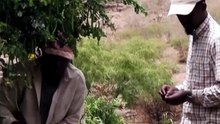 Cabo Verde: luta pela sobrevivência leva mulheres à extração ilegal de areia