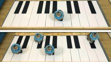 Des chats jouent sur un piano géant !