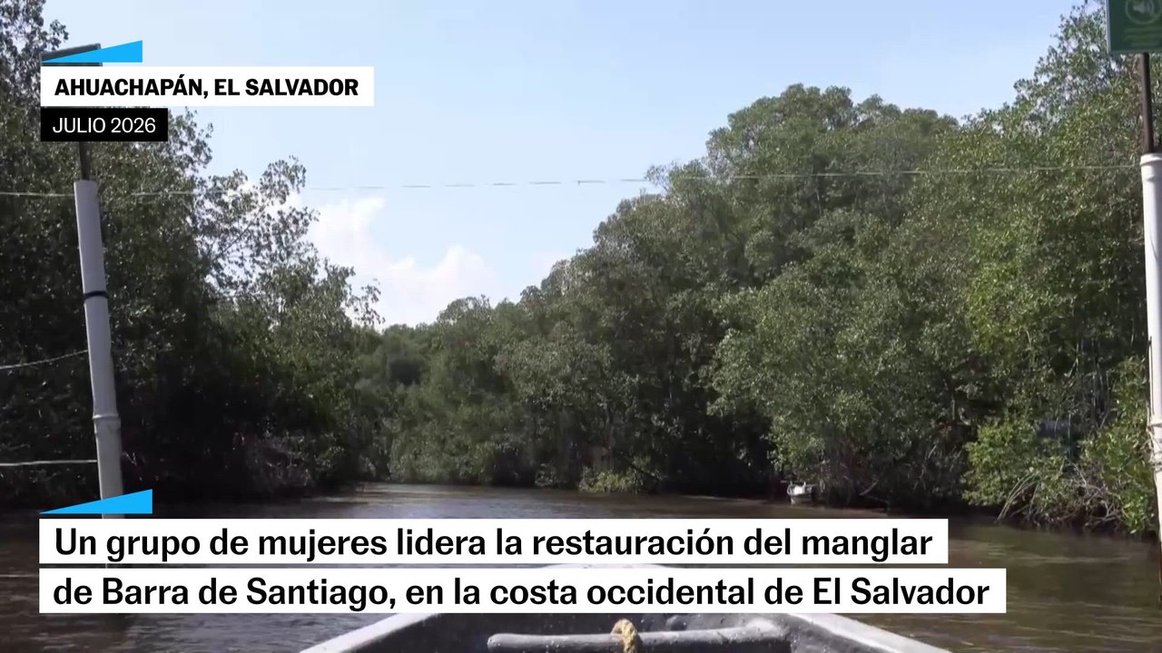 Un grupo de mujeres restaura los manglares del occidente salvadoreño
