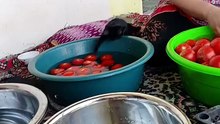 Cat and tomato's 😍😍😍