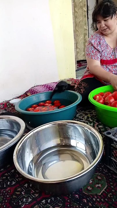Cat and tomato's 😍😍😍