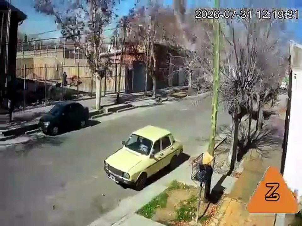 arbol sobre un hombre