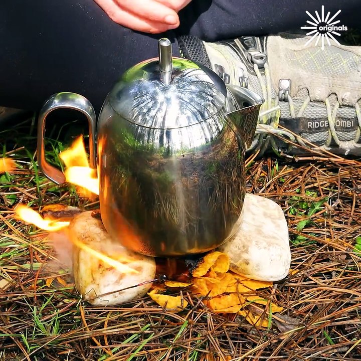 Hacks to survive in the wild! 🌳🔥