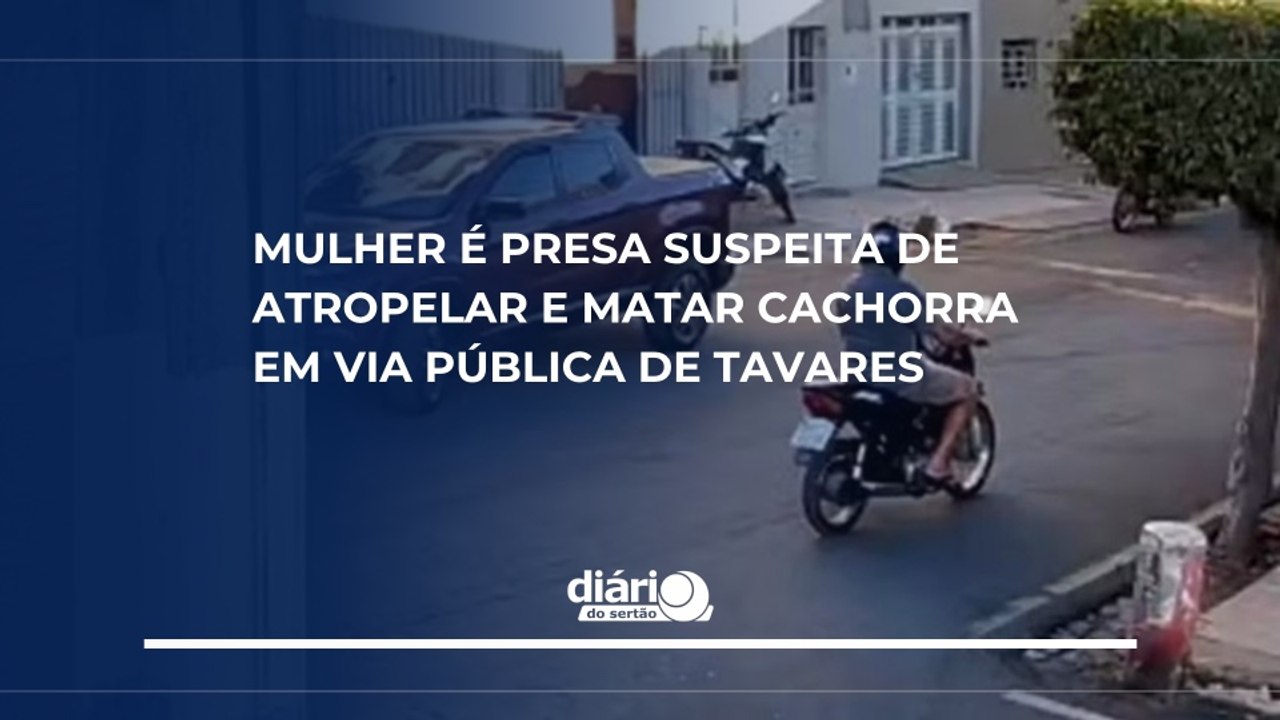 Mulher é presa suspeita de atropelar e matar cachorra em via pública de Tavares