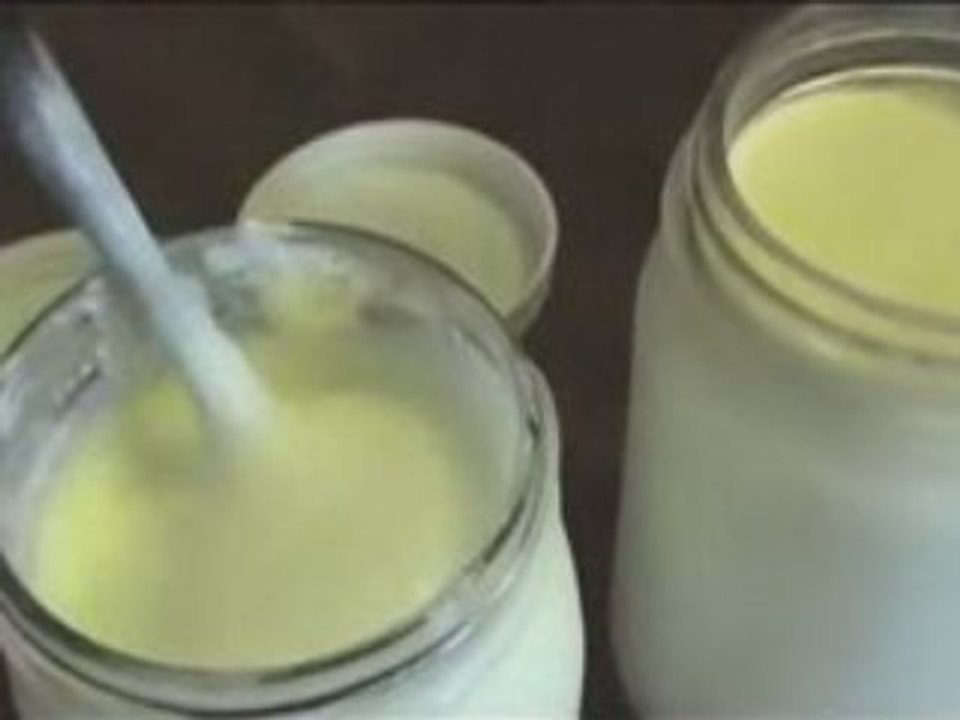 Homemade Yogurt Making Part 2
