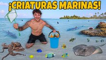 Buscando criaturas marinas en una isla remota de Maldivas a más de 16,000 km de aquí