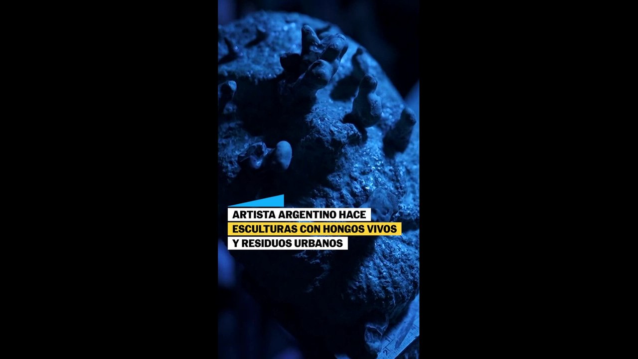 Artista argentino hace esculturas con hongos vivos