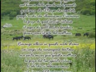 Buon Compleanno Amica mia .mpg