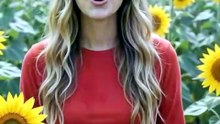 Sunflower plant lover