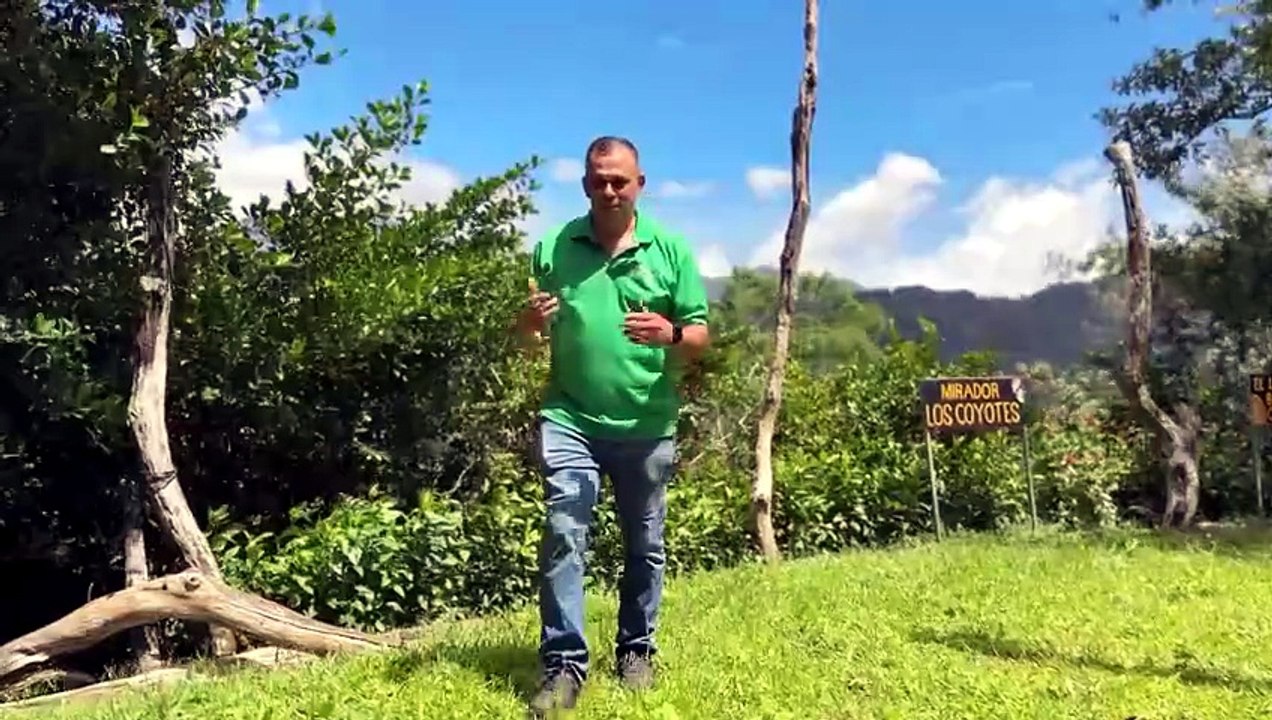 mqn-naturaleza-paz-y-aventura-asi-se-disfruta-chirraca-de-la-selva-310726 [Full Movie]
