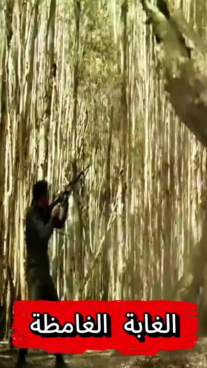 Kong Skull Island 5 ＂سونار افلام قناة الافلام الافضل＂ #film #movie #السعودية #الاردن #الجزائر