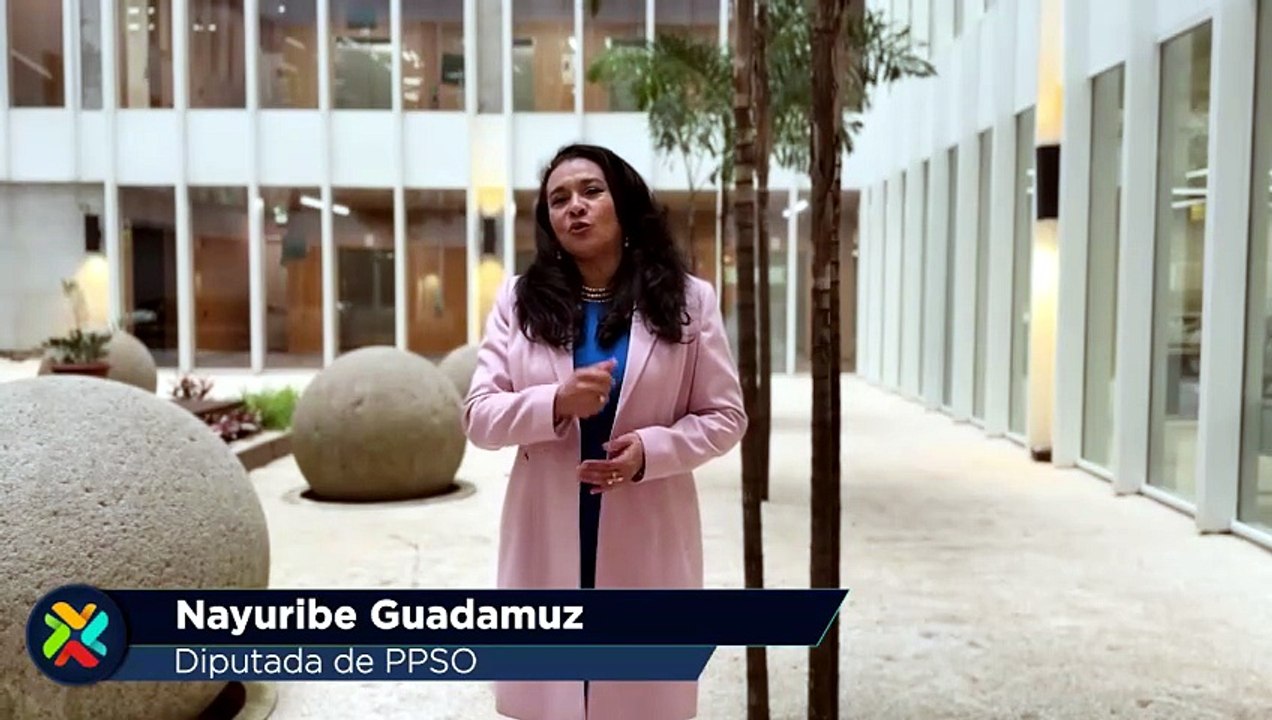 ext-diputada-de-ppso-presenta-proyecto-para-exigir-transporte-seguro-de-mascotas-150726 [Full Movie]