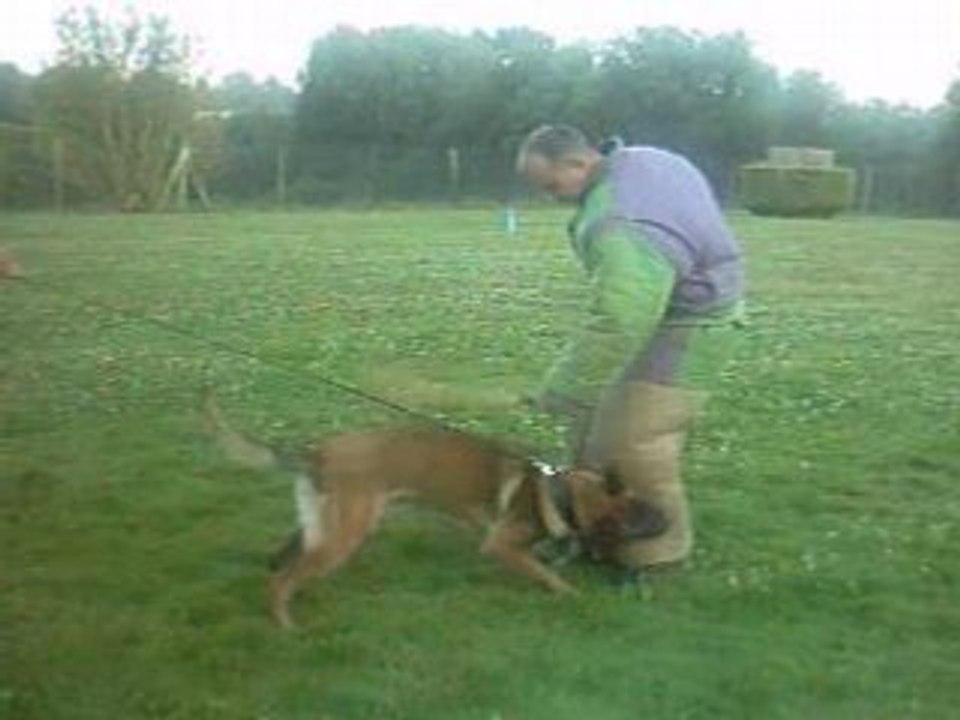 Petite attaque Ring Cidney