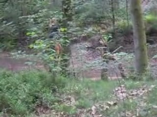 Balthazar montage 1_0001