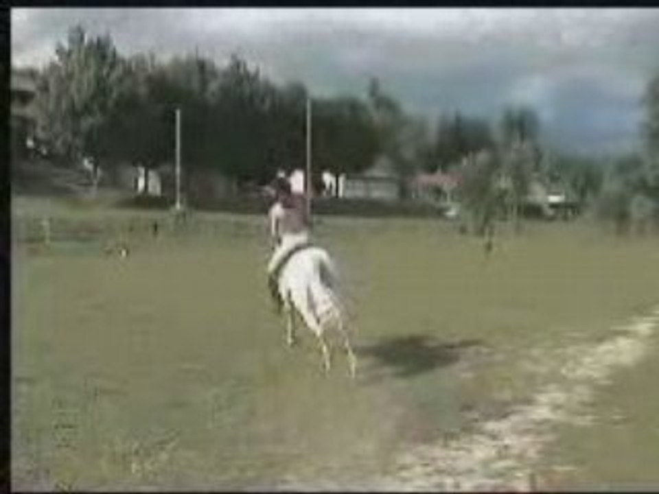 Karaibe