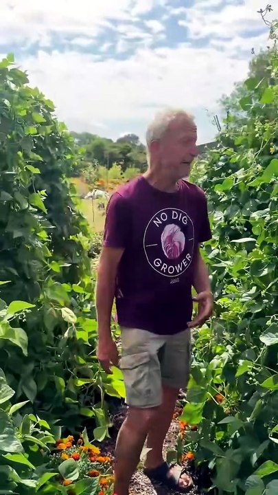 ¿Cada cuánto hay que regar las verduras? Consejos para regar sin cavar en climas calurosos