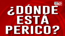 ¿Dónde está Perico?: cayó a la vereda, pasó un vecino encapuchado y se lo robo