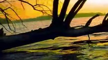 River Sounds for Sleep • Evening Waves on the Havel, Berlin