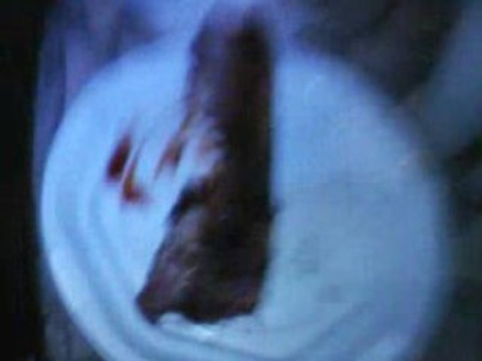 Juillet 10 - Barbecue chevre