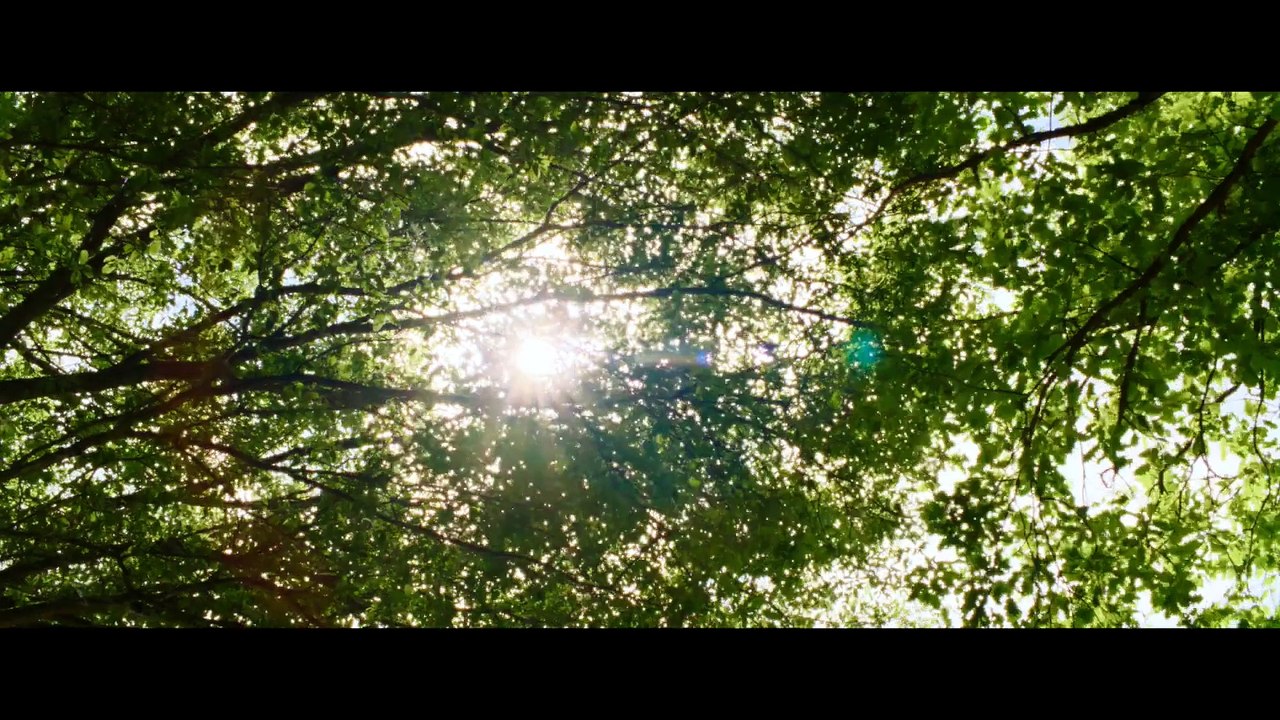 Billie Melody - Trailer
