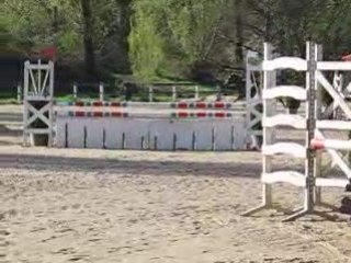 Nouba CSO Saint Yrieix Avril 2008