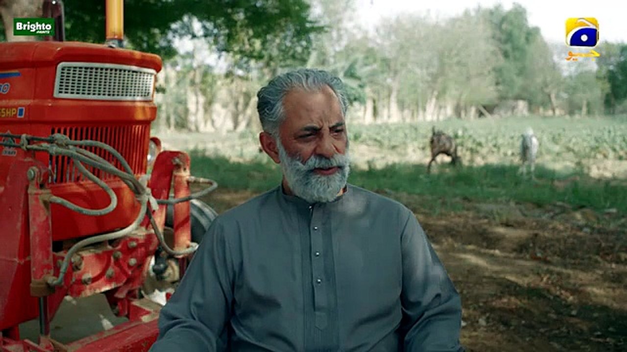 Muhafiz episode 29