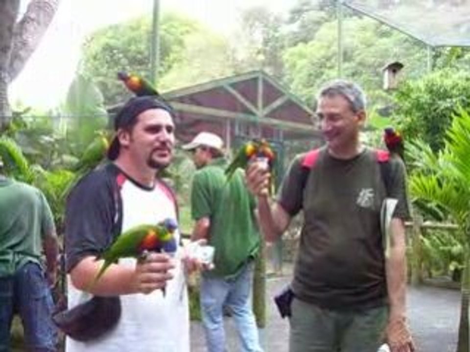 Laurent et les loris...