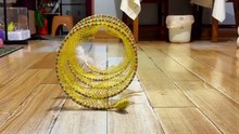 Cat Tunnel Toy - Foldable Storage S-Type