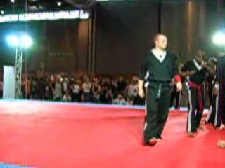 karaté artistique japan expo 2008