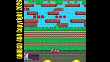 GNUBSD404 Long N216 Froggi (Linux/Web/Pico)