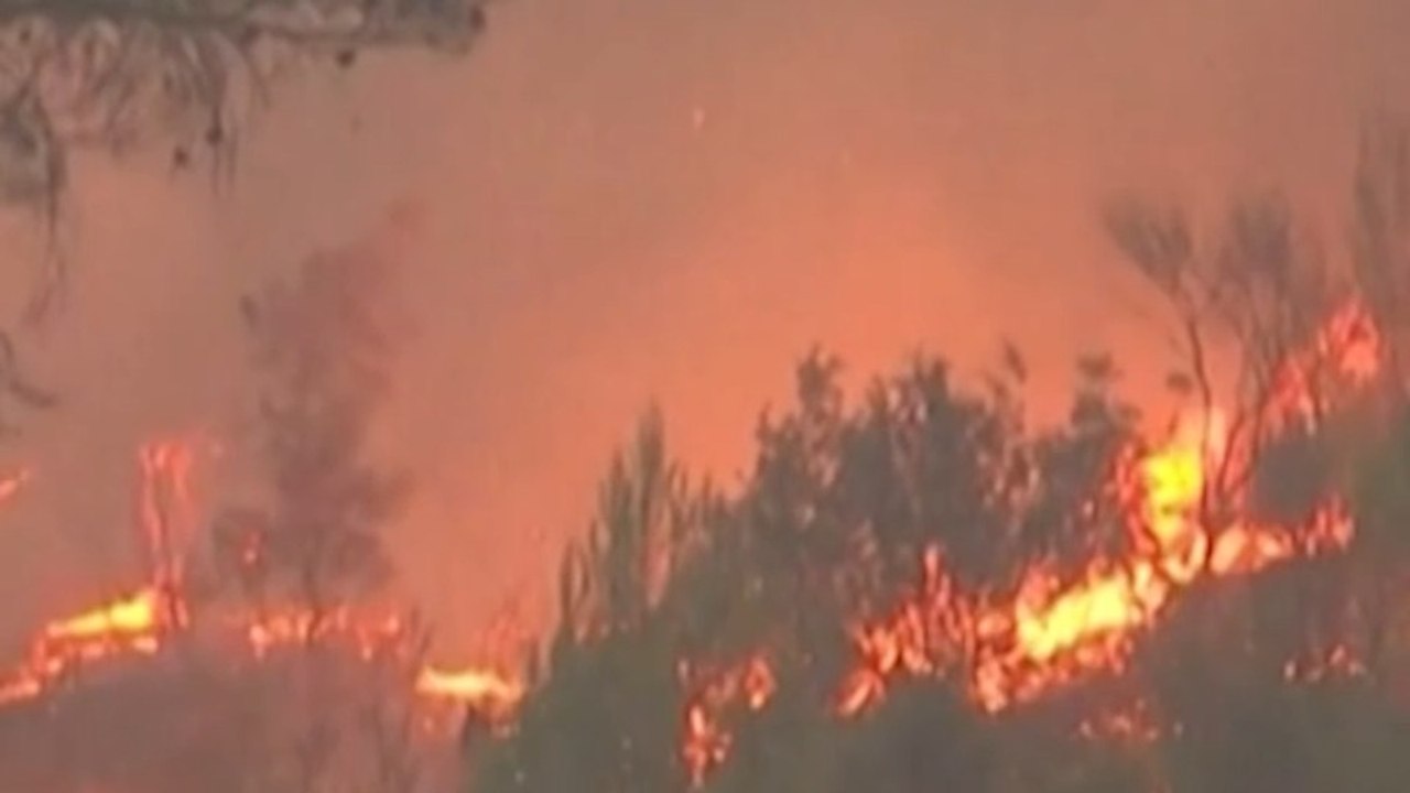 Incendie dans le Var : « Le feu progresse plus vite qu’un cheval au galop »