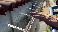 Bird Control Dubai | Bird Netting, Bird Spikes & Wire Systems Explained (2026)
